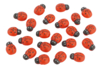 Wooden Adhesive Ladybugs - 24 Pieces - 1 - Painted Wooden Decor - 10doigts.com - Painted Wooden Decor – 10doigts.fr