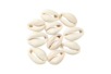 Natural Cowrie Shells - 12 Pieces - 1 - Heishi Beads and Shells - 10doigts.com - Heishi Beads and Shells – 10doigts.fr