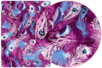 decopatch plumas violetas - Papel DECOPATCH – 10doigts.fr