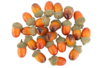 Decorative Acorns - 24 Pieces - 3 - Natural Decorations - 10doigts.com - Natural Decorations – 10doigts.fr