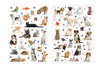 Gommettes Animaux Domestiques Realistes - Animal Stickers – 10doigts.fr