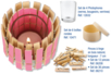 Clothespin Candle Holder - 3 - Handicraft Activities for Making Your Candles and Soaps - 10doigts.com - Handicraft Activities for Making Your Candles and Soaps – 10doigts.fr