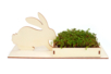 Rabbit Planter Kits + Cresson - 6 pcs - 4 - Easter Craft Kits - 10doigts.com - Easter Craft Kits – 10doigts.fr