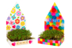 Growing Planters Kit - 6 Pieces - 4 - Animal and Nature Kits - 10doigts.com - Animal and Nature Kits – 10doigts.fr