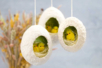 Silk Chenille Chicks - 12 pcs - 2 - Easter Decorative Accessories - 10doigts.com - Easter Decorative Accessories – 10doigts.fr