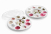 palette humide  - Palettes & accessories – 10doigts.fr
