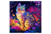 Diamond Painting Kit, Cat - 30 x 30 cm - 2 - Diamond Painting: Complete Kit - 10doigts.com - Diamond Painting: Complete Kit – 10doigts.fr