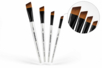 Daler-Rowney Angled Brushes - 4 pieces - Brushes and brushes for acrylic painting – 10doigts.fr