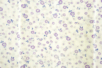 Printed Fabric Coupon with Purple Flowers - 43 x 53 cm - 3 - Fabric Coupons - 10doigts.com - Fabric Coupons – 10doigts.fr