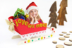 Trineo de Navidad personalizable con una foto - Lazos y cintas – 10doigts.fr