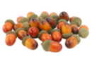 Decorative Acorns - 24 Pieces - Natural Decorations - 10doigts.fr