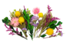 Dried Flowers and Leaves - 48 Pieces - Decorative Flowers and Leaves - 10doigts.fr