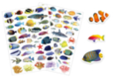 Realistic Fish Stickers - 84 pcs - Animal Stickers - 10doigts.fr