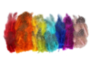 Colored Guinea Fowl Feathers - Approximately 250 Feathers - Decorative Feathers - 10doigts.fr