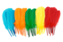 Multicolored Indian Feathers - Approximately 120 Feathers - Decorative Feathers - 10doigts.fr