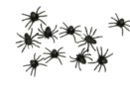 Arañas negras - 10 piezas - Accesorios creativos Halloween - 10doigts.fr