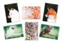 Kit of 2 sticker sheets numbered: Owls and Fox - Creative Sticker Kits 59720 - 10doigts.fr