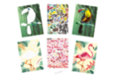 A4 Tropical Animals Sticker Sheets x 2 pcs - Creative Sticker Kits 59716 - 10doigts.fr
