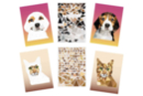 Kit 2 sticker boards numbered: Dog and cat - Creative Sticker Kits 59714 - 10doigts.fr