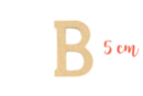 Wooden letter medium: B - Raw Wood Decor 15004 - 10doigts.fr