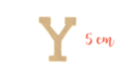 Wooden letter medium: Y - Raw Wood Decor 15027 - 10doigts.fr