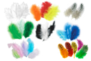 Mega pack de plumas - 8 sachets de 50 plumas (es decir, 400 plumas) - Plumas decorativas 59012 - 10doigts.fr
