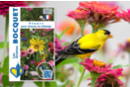 Mezcla de semillas de flores para pájaros - Jardinería niños 57452 - 10doigts.fr