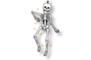 Mobile articulated skeleton - Halloween Craft Kits 29056 - 10doigts.fr