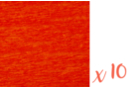 Red crepe paper 2 m x 50 cm - Pack of 10 sheets - Crepe Paper 06036 - 10doigts.fr
