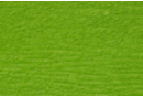 Green crepe paper 2 m x 50 cm - 1 sheet - Crepe Paper 27773 - 10doigts.fr