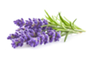 Fragancia para vela 27 ml - Lavanda - Perfumes y Colorantes para Velas 08423 - 10doigts.fr