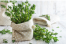 Thyme Seeds - Gardening for Kids 57444 - 10doigts.fr