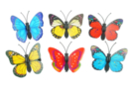 Mariposas 3D sobre pinzas - 6 piezas - Elementos decorativos adhesivos - 10doigts.fr