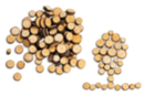 Rondelles de bois (Ø 7 mm à 2,5 cm - Épaisseur : 4 mm) - environ 100 pièces - Natural Decorations - 10doigts.fr