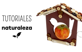 Actividades manuales sobre el tema de la naturaleza para los niños - Actividades manuales educativas - 10doigts.fr