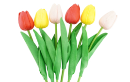 Mesa de ceremonia - Boda - 10doigts.fr