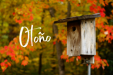 Otoño