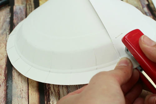 Make a Turtle with a Paper Plate