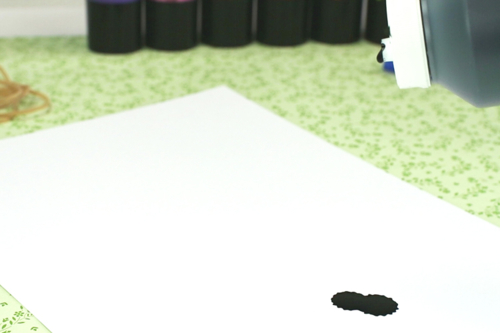 Trees of the 4 Seasons