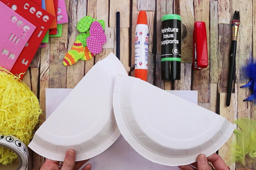 Pollitos de Pascua en su nido