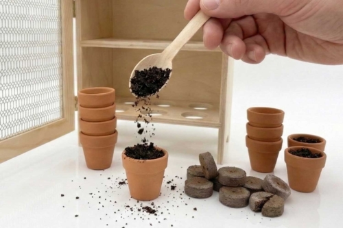 Step 1: Preparing the substrate - 