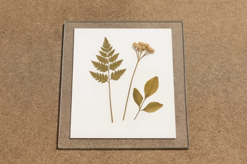 Paso 2: Exposición a la luz - 