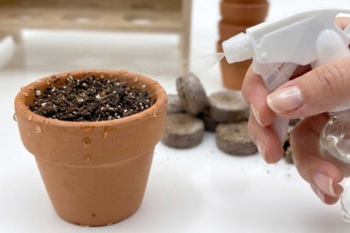 Step 2: Humidification and Sowing - 