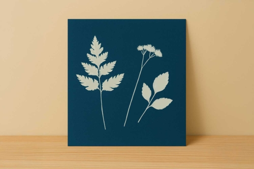 Etapa 5: Resultado final - 