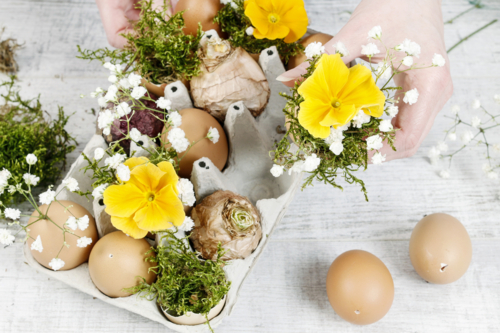 Organizar la composición - 