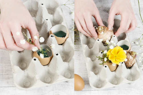 Plantar las flores - 