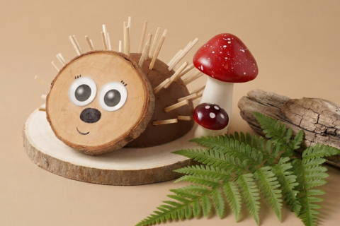 Hedgehog and Wooden Matches
