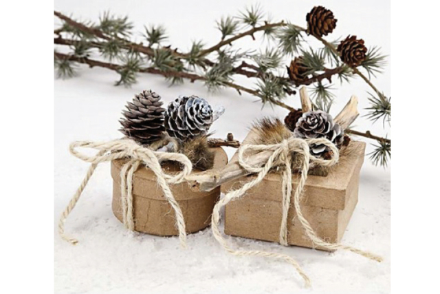 Mini Pine Cones - 15 Pieces - 3 - Dried Flowers, Pine Cones - 10doigts.com - Fleurs séchées et pommes de pin pour les loisirs créatifs - 10doigts.fr