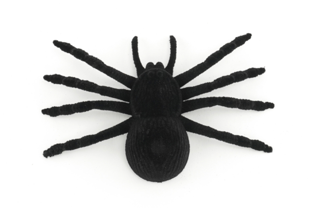 Realistic Large Spiders - 4 Pieces - 2 - Halloween Creative Accessories - 10doigts.com - Accessoires créatifs Halloween - 10doigts.fr