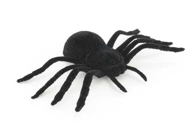 Realistic Large Spiders - 4 Pieces - 3 - Halloween Creative Accessories - 10doigts.com - Accessoires créatifs Halloween - 10doigts.fr